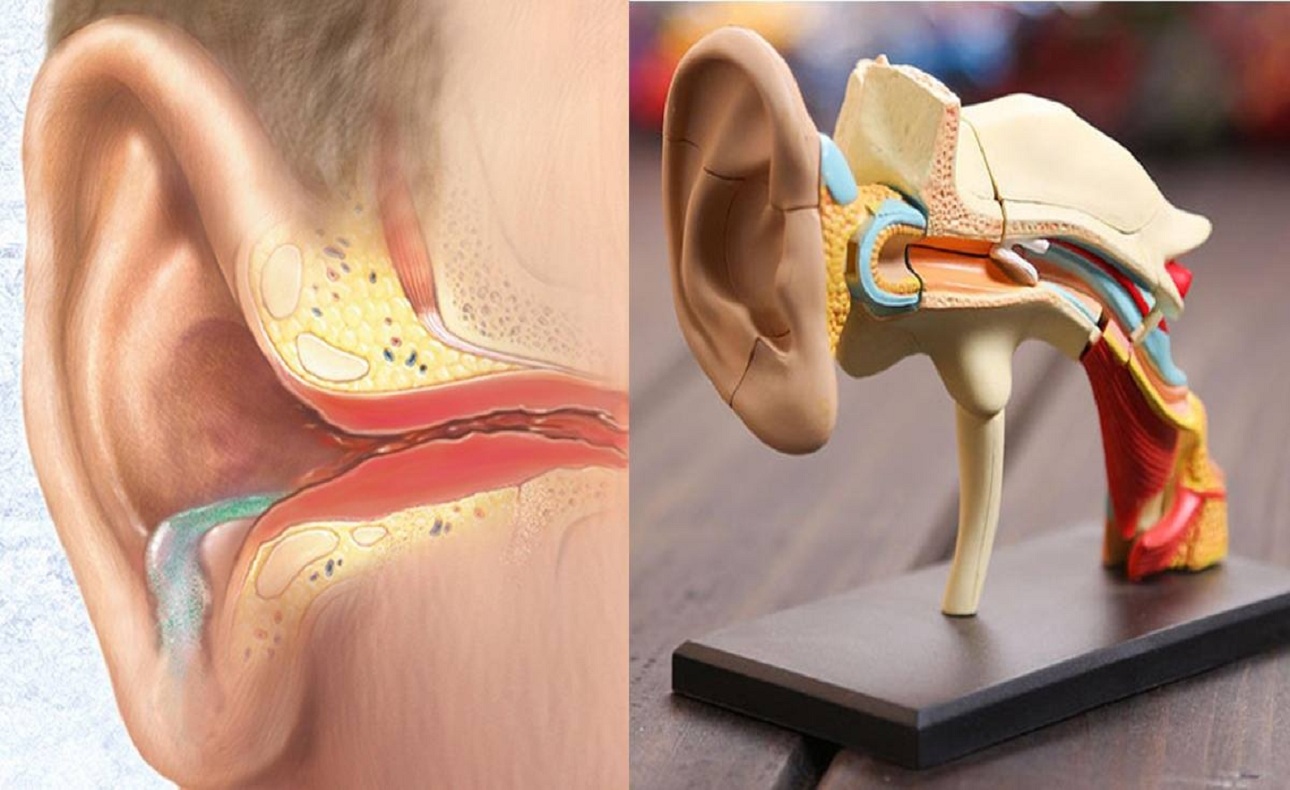 Viêm tai giữa xung huyết là một dạng tổn thương của ống tai giữa