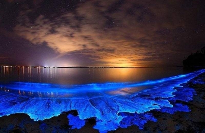 Bãi biển lân tinh Maldives trông giống như một bầu trời đầy sao