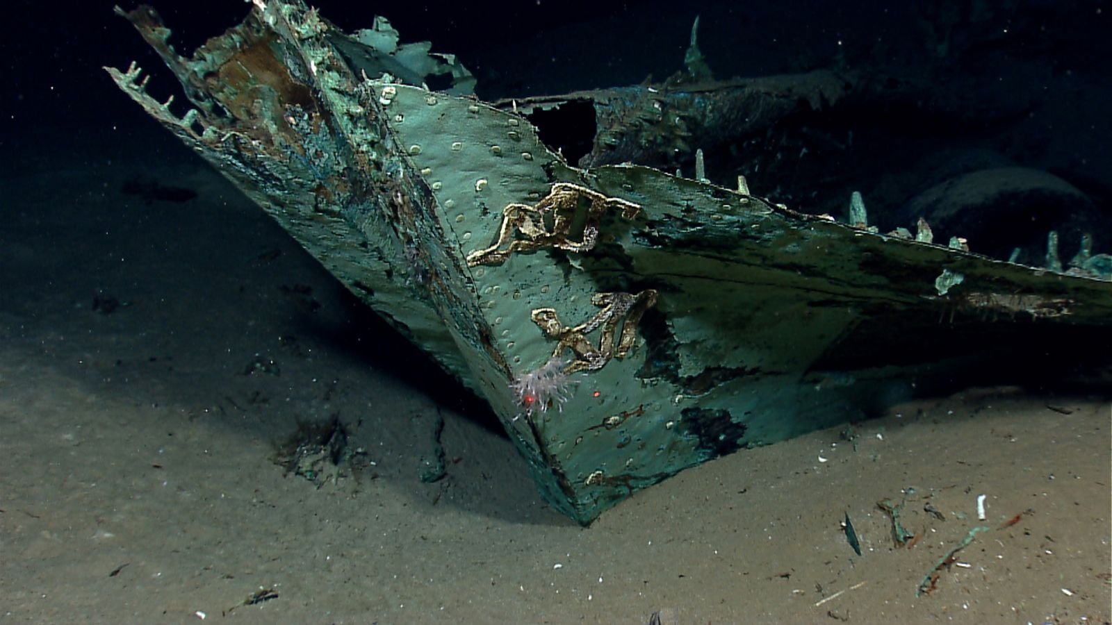 Con tàu đắm 200 năm tuổi bị đóng đinh ở mép bánh lái tàu tại Vịnh Mexico