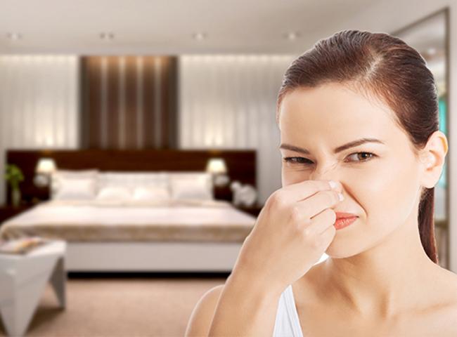 Mẹo khử mùi cho phòng cực hiệu quả với nguyên liệu tự nhiên