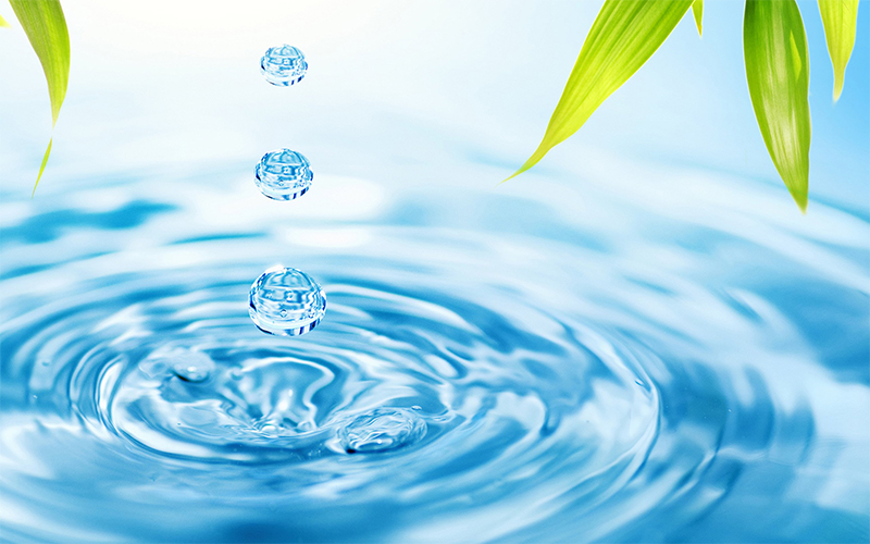Tìm hiểu vai trò của nước đối với sức khỏe và trong hệ thống miễn dịch